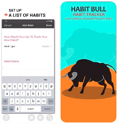 Habit Bull