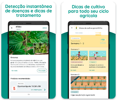 técnicas de poda para plantas plantix