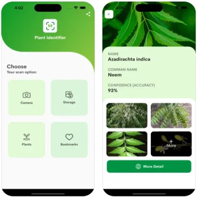 Melhores aplicativos para identificar plantas