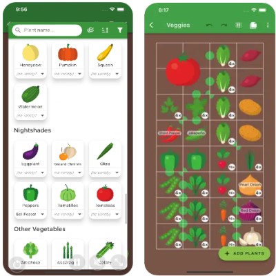 Melhores aplicativos para identificar plantas