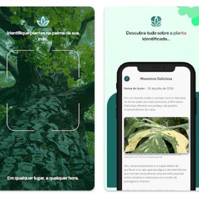 Melhores aplicativos para identificar plantas