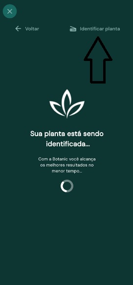 Aplicativo para identificar plantas