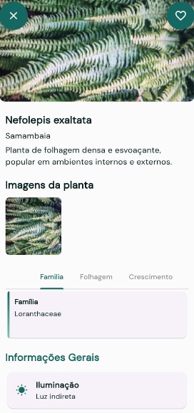 Aplicativo para identificar plantas