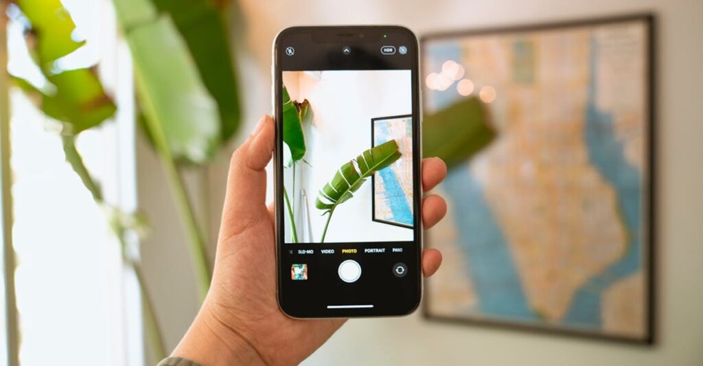 Aprenda mais sobre as plantas usando o celular