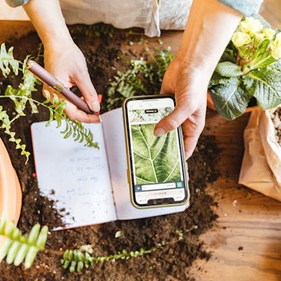 Receba dicas personalizadas de cuidados para suas plantas