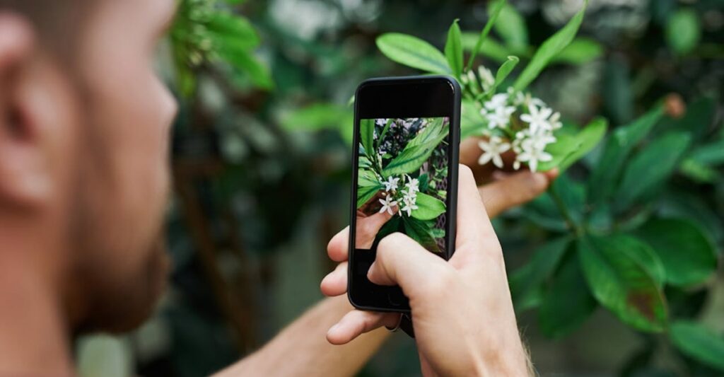 Receba dicas personalizadas de cuidados para suas plantas