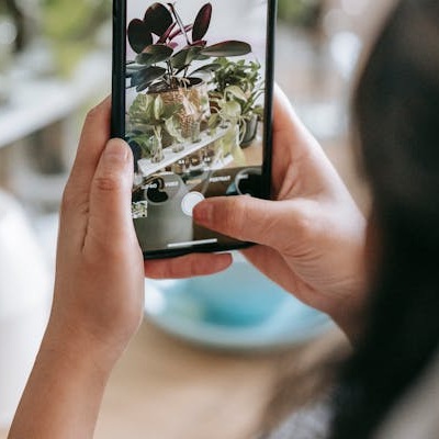 Aprenda mais sobre as plantas usando o celular