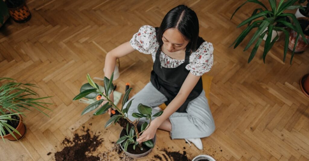 Saiba como cuidar do seu jardim com esse curso grátis