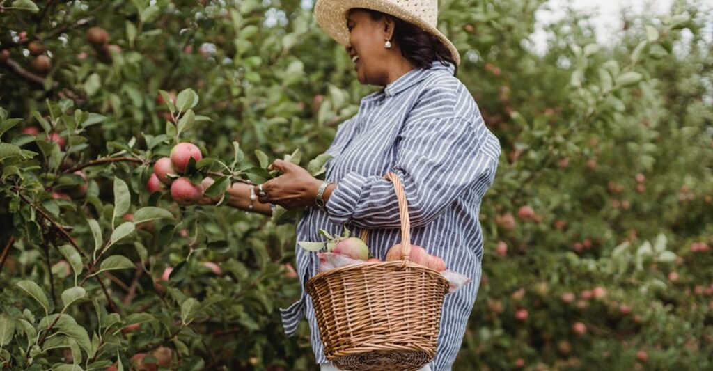 melhor curso sobre o cultivo de pomares e frutíferas