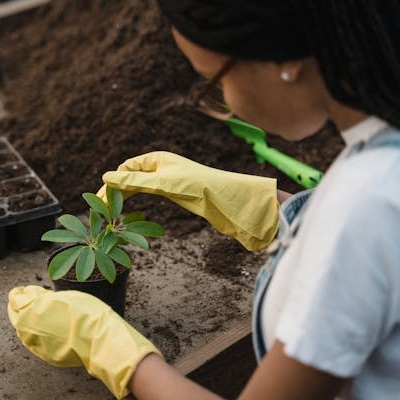 Saiba como cuidar do seu jardim com esse curso grátis