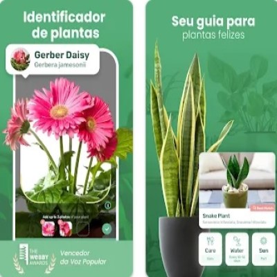 Aplicativos gratuitos para identificar plantas