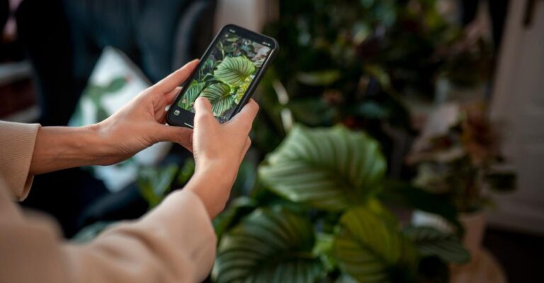 Aplicativos para identificar plantas