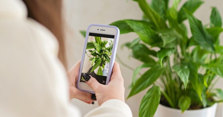 Aplicativo para jardinagem, botânica e plantas